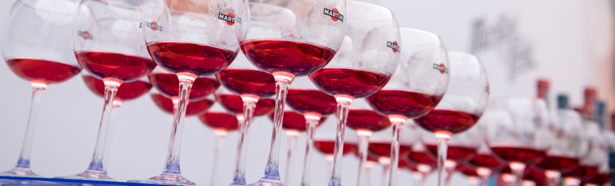 Amvyx Tedx Academy 2017 - Stella Artois & Martini