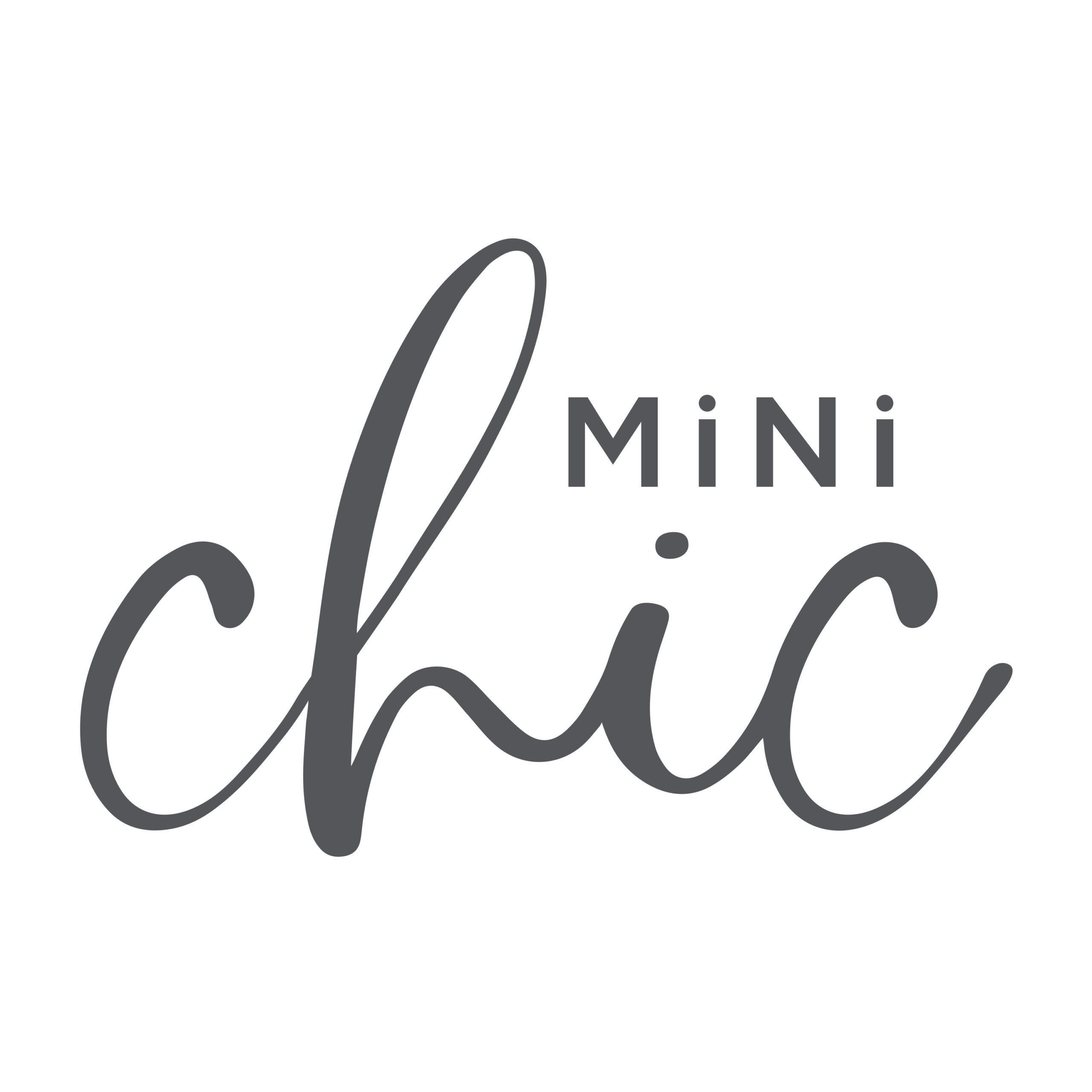 Amvyx Mini Chic
