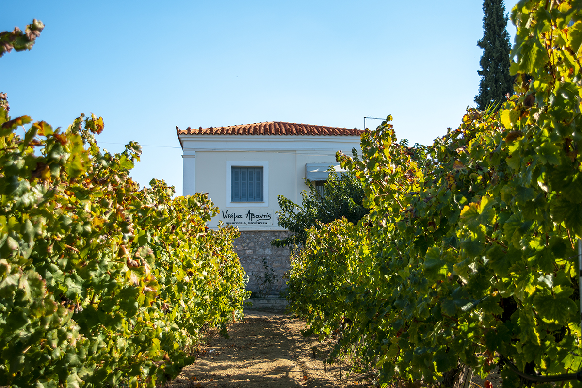 Amvyx Το Κτήμα Αβαντίς  εντάσσεται στο χαρτοφυλάκιο Oenothèque της ΑΜΒΥΞ